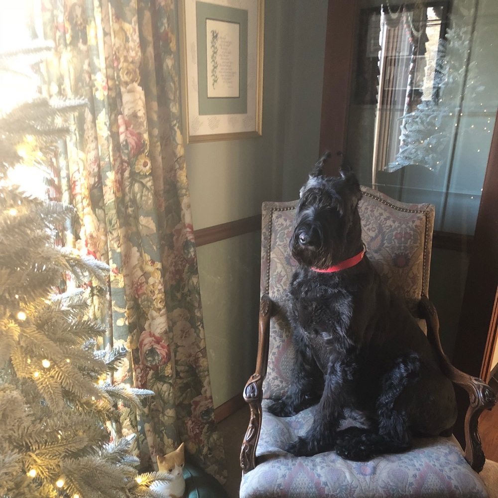 Meet your Posher, Meg